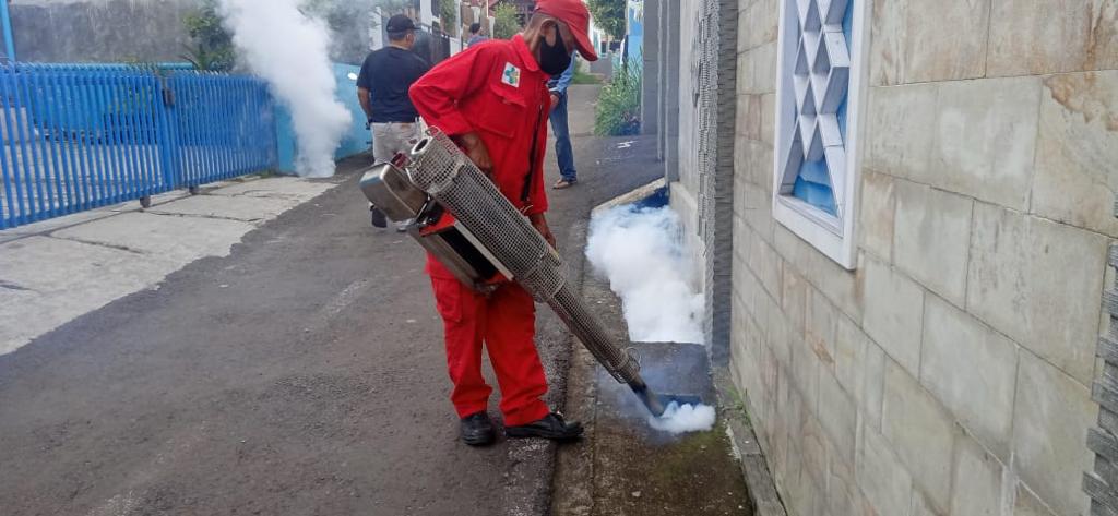 Sepekan, Puluhan Warga Desa Nagrak Cianjur Diserang Wabah Chikungunya