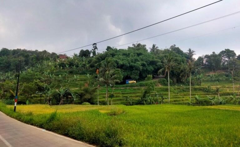 Banyak Lahan Telantar, P2T2 Layangkan Surat ke DPRD Cianjur