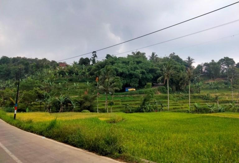 Banyak Lahan Telantar, P2T2 Layangkan Surat ke DPRD Cianjur