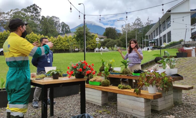 Kebun Raya Cibodas Rilis Koleksi Tanaman Handcrafted