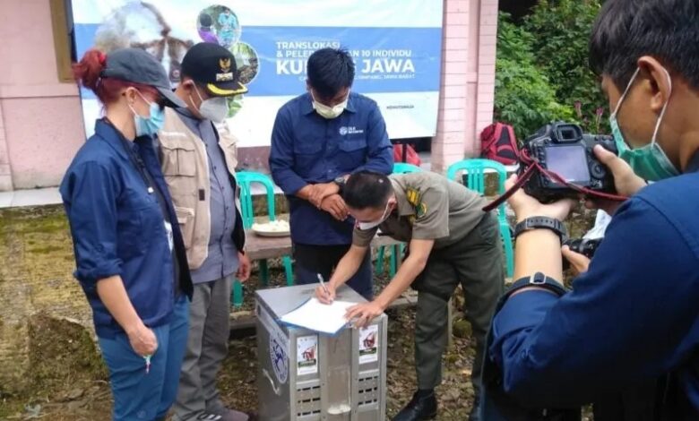 10 Ekor Kukang Jawa Dilepasliar di Hutan Cianjur