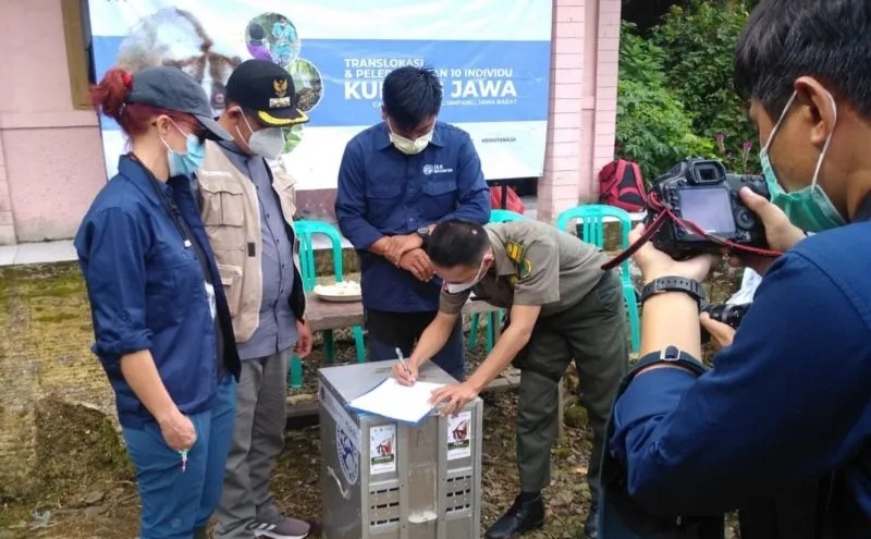 10 Ekor Kukang Jawa Dilepasliar di Hutan Cianjur