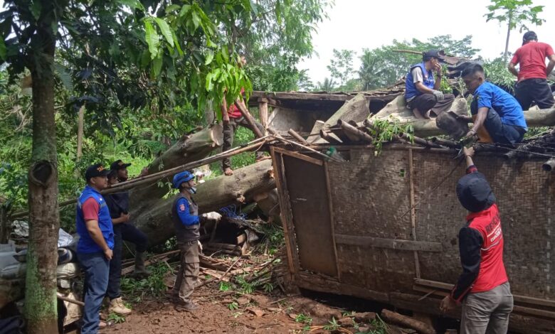 Pohon Tumbang Timpa Rumah Warga di Cibeber