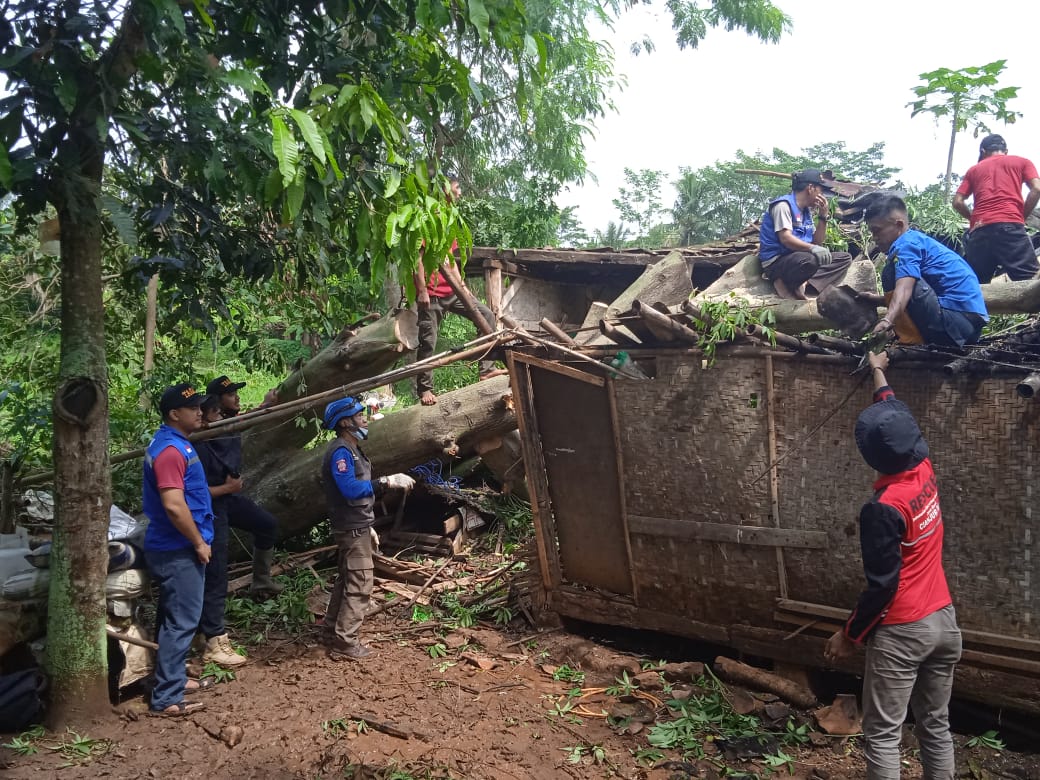 Pohon Tumbang Timpa Rumah Warga di Cibeber