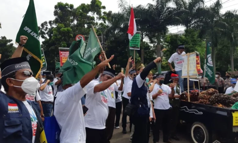 Aksi demo petani kelapa sawit