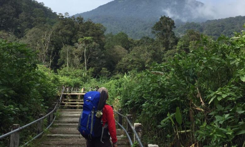 Sempat Tutup, Pendakian TNGGP Akhirnya Dibuka Kembali