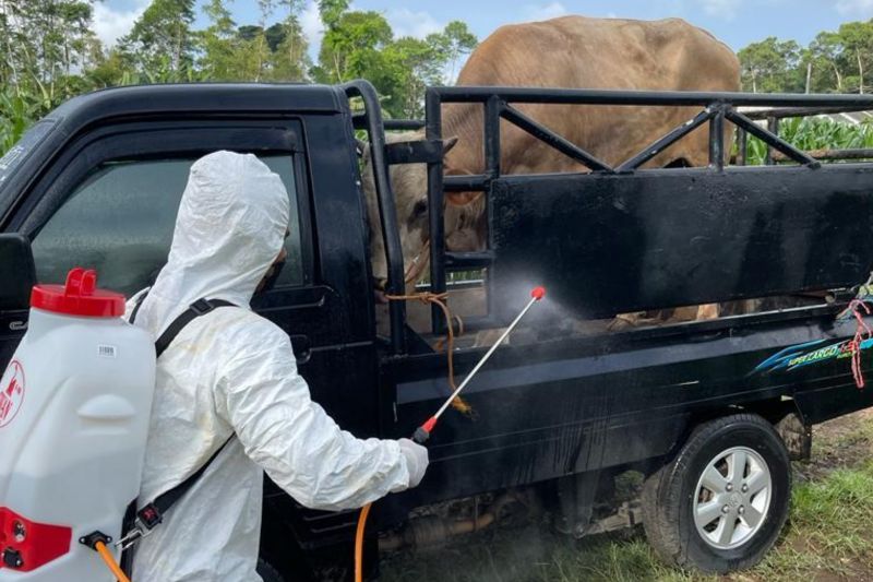 Dinas Peternakan Cianjur Tutup Kegiatan Peternakan di Sukaresmi