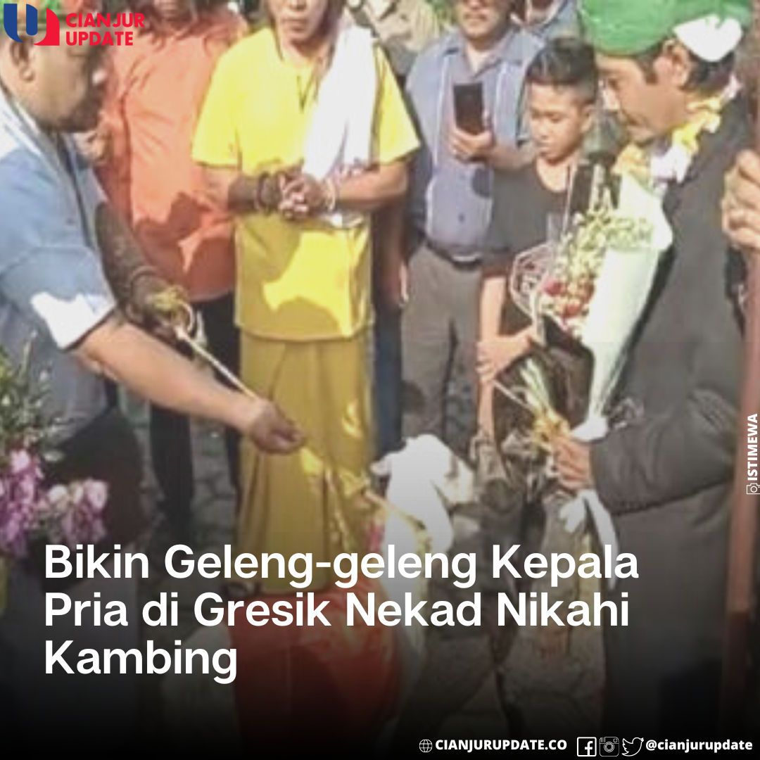 Geger, Pria Di Gresik Nekad Nikahi Kambing