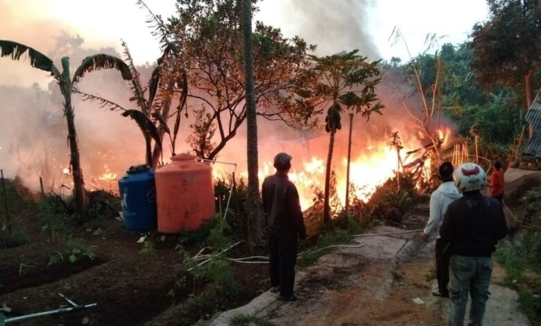 Kebakaran, Kadang dan Ribuan Anak Ayam di Cipanas Cianjur Hangus