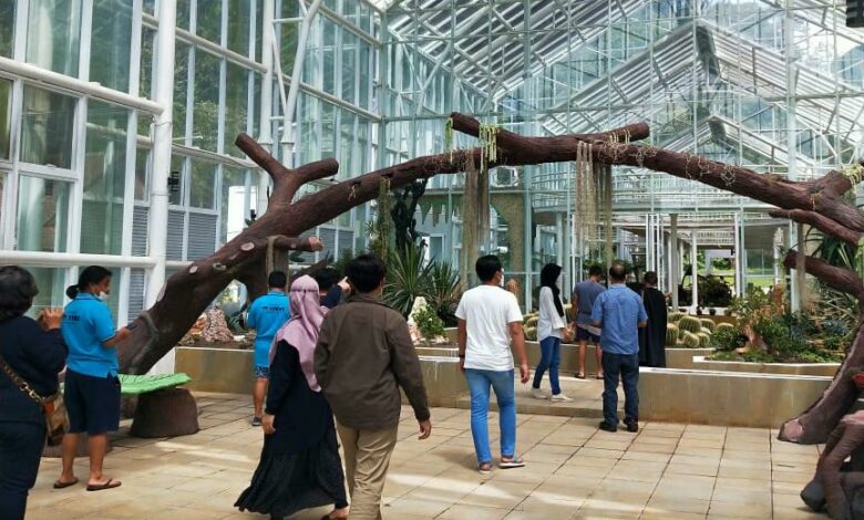 Rumah Kaca di Kebun Raya Cibodas Sudah Dibuka Untuk Umum