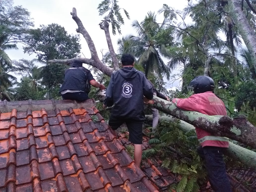 Hujan Angin, Pohon Tumbang Timpa Rumah di Sukaluyu Cianjur