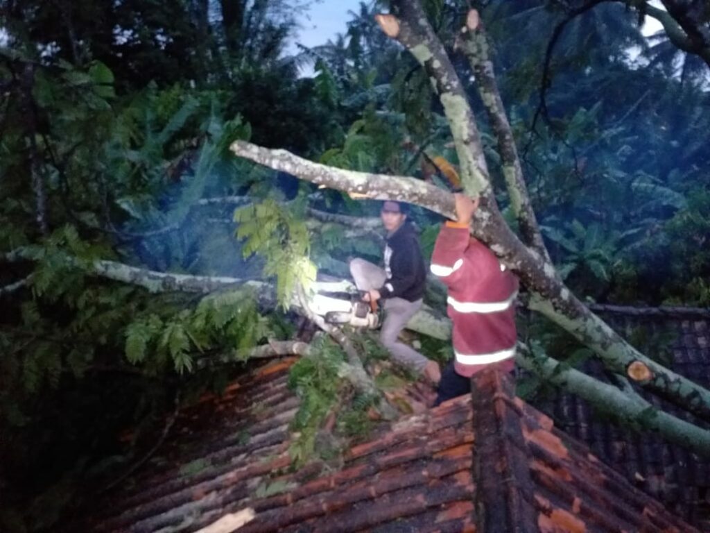 Hujan Angin, Pohon Tumbang Timpa Rumah di Sukaluyu Cianjur