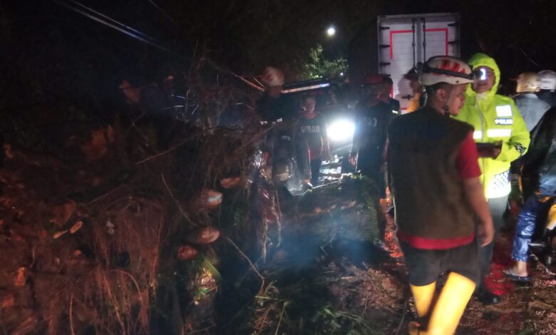 Pohon Besar di Cugenang Cianjur Tumbang, Arus Lalu Lintas Sempat Tutup Total