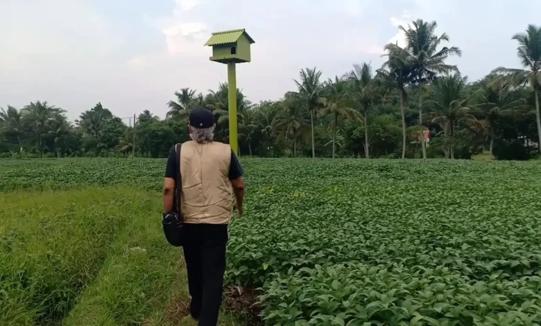 Pertanian Cianjur: Selalu Dibanggakan, Minim Pembangunan