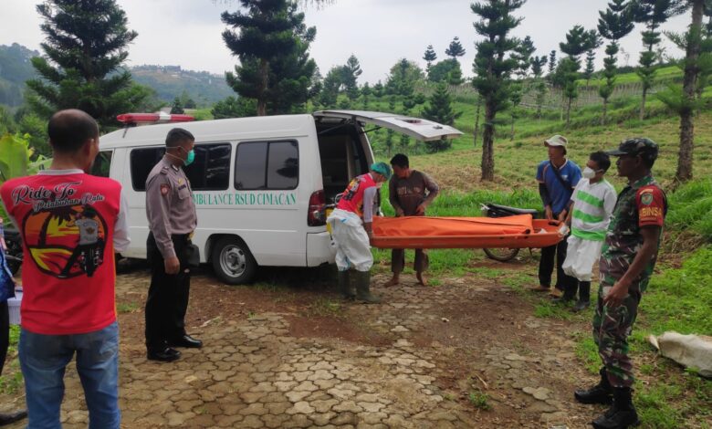 Foto: Istimewa/Pemakaman mayat tanpa identitas tergantung di pohon petai