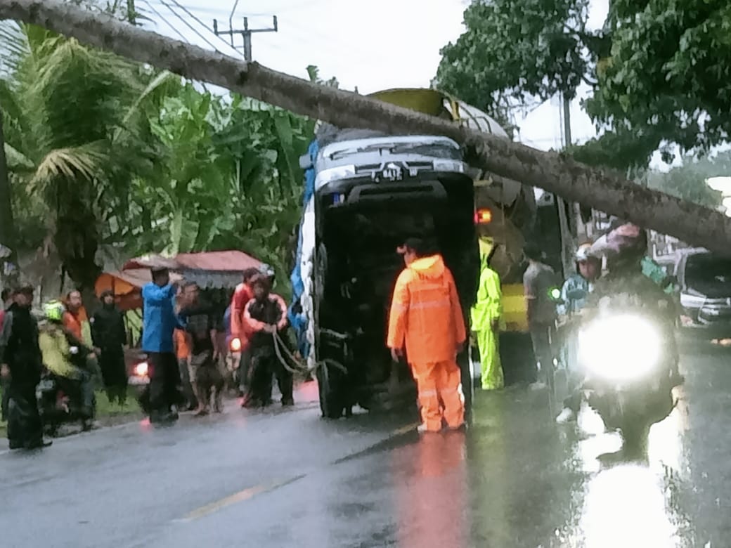 Mobil Pikap Tersangkut Pohon Tumbang di Cugenang Cianjur