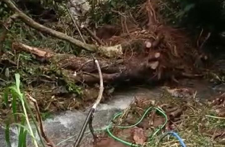 Tebing Longsor di Cipanas Bukan di Wilayah Sevillage, Ternyata Milik TNGGP