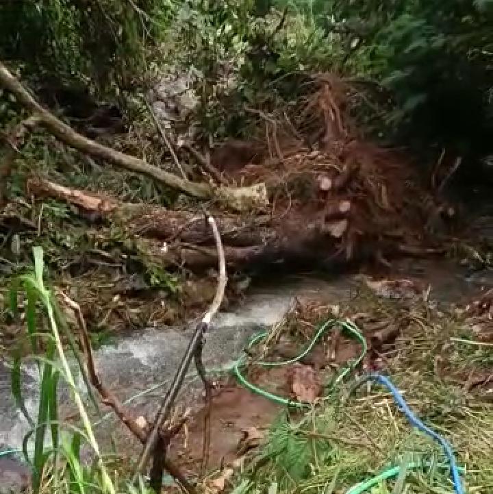 Tebing Longsor di Cipanas Bukan di Wilayah Sevillage, Ternyata Milik TNGGP