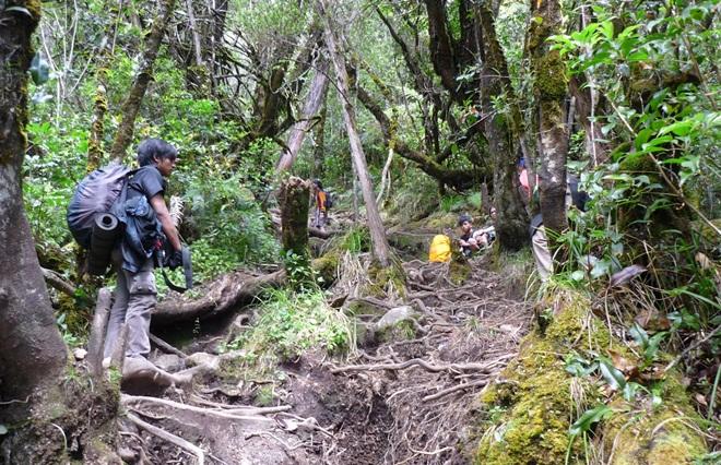 Ada Retakan di Bibir Kawah, Pendakian Gunung Gede Ditutup