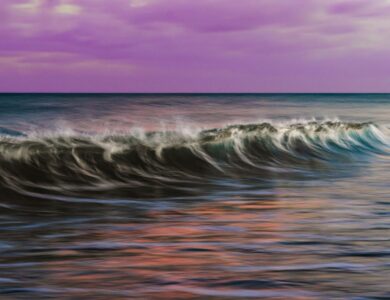 green grass field near body of water