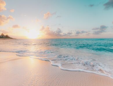 seashore during golden hour