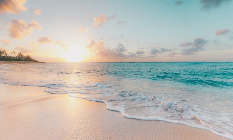 seashore during golden hour