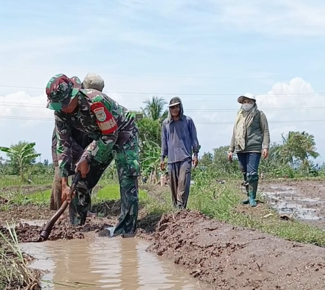 Dorong Motivasi Petani di Wilayah Teritorinya, Koramil 0608-05/Cugenang Siap Perkuat Ketahanan Pangan