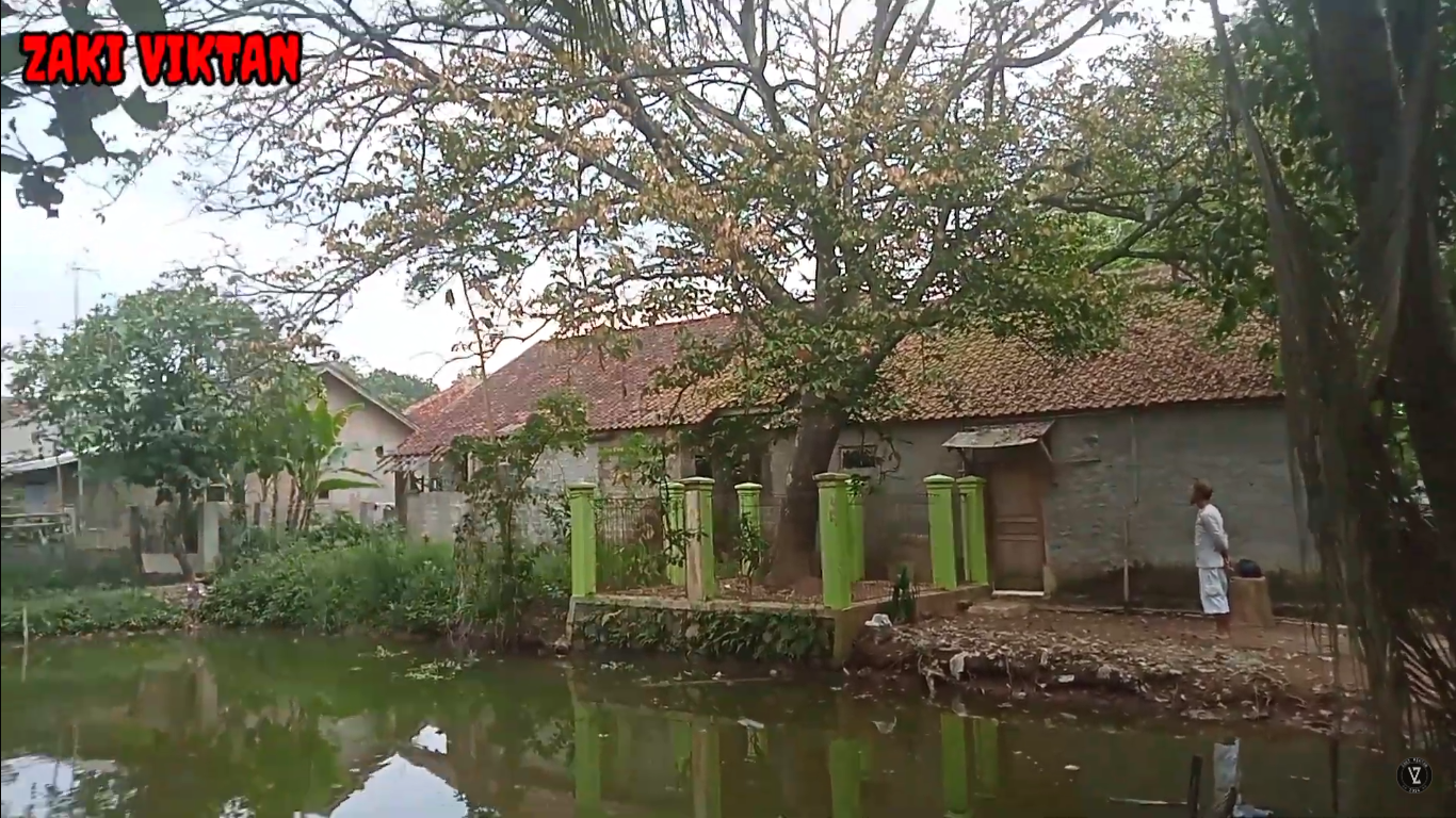 Berawal Dari Sebuah Tongkat! Misteri Pohon Saparantu di Mande Cianjur Masih Menyisakan Tanda Tanya, Benarkah Hadiah dari Kerajaan Mataram?