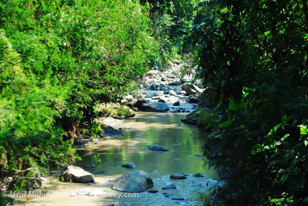 Cegah Sekarang! Sungai di Cianjur Sudah Tercemar Bakteri E. Coli, Bisa Membuat Bayi Baru Lahir Mengalami Meningitis