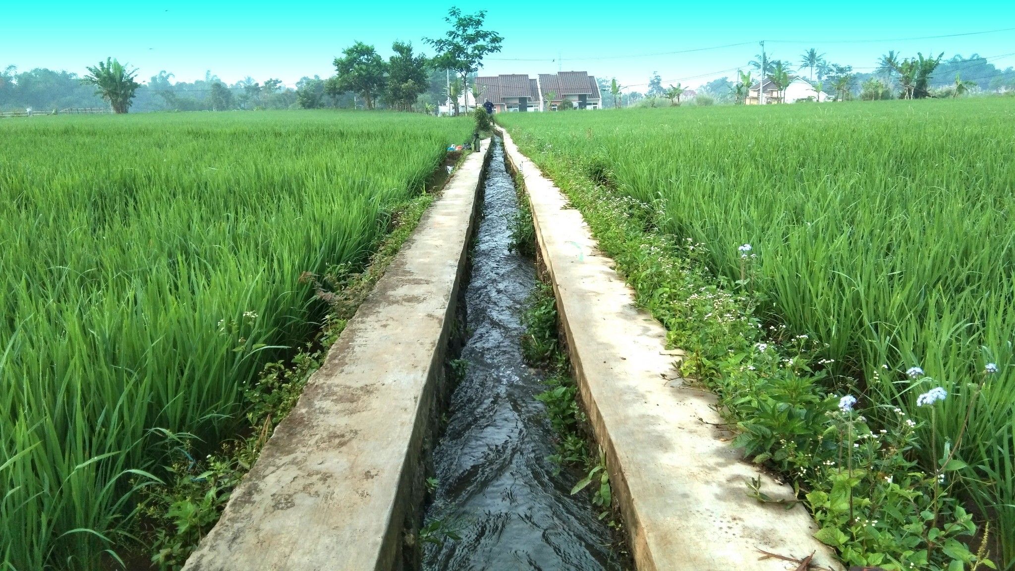 Pemkab Cianjur Gelar Rakor Soal Pengelolaan Air Sampai Irigasi, Bantu Ringankan Beban Petani