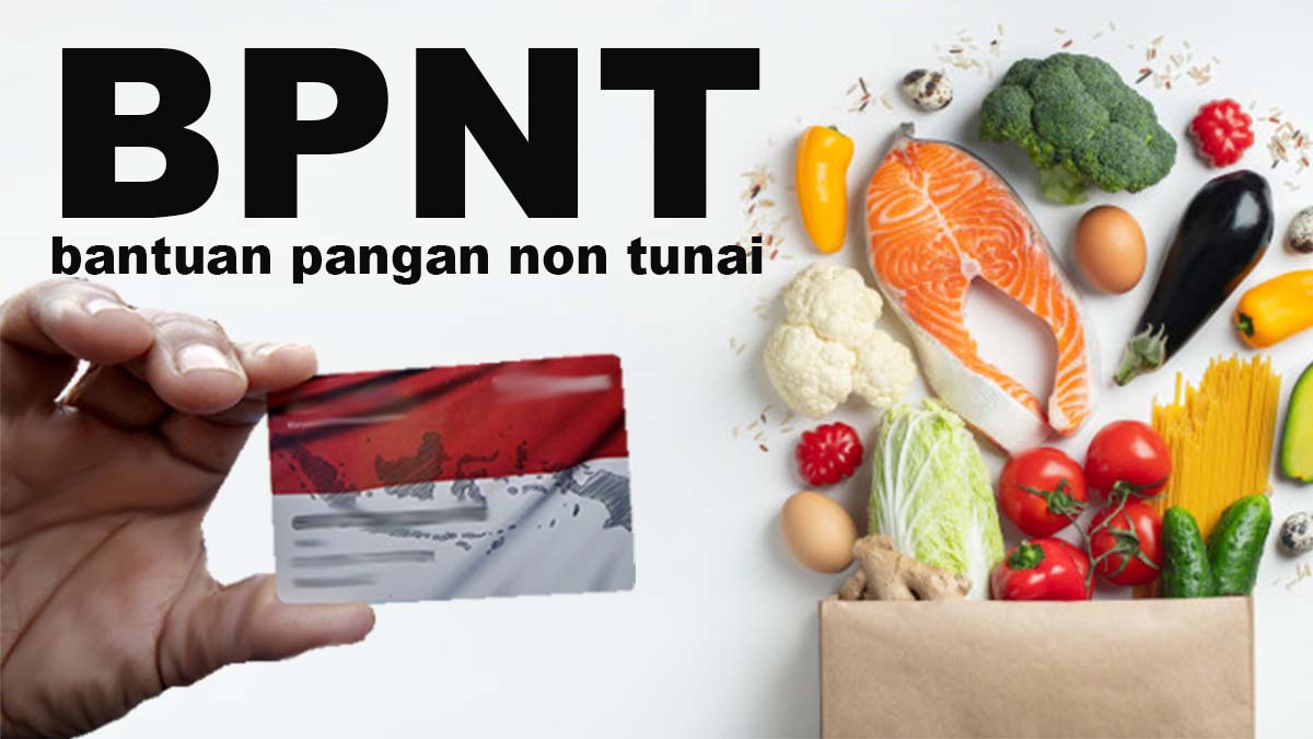 Tak Perlu Bingung! Begini Cara Cek Bantuan BPNT Lewat HP, Pastikan Syarat yang Harus Dipenuhi Sudah Lengkap