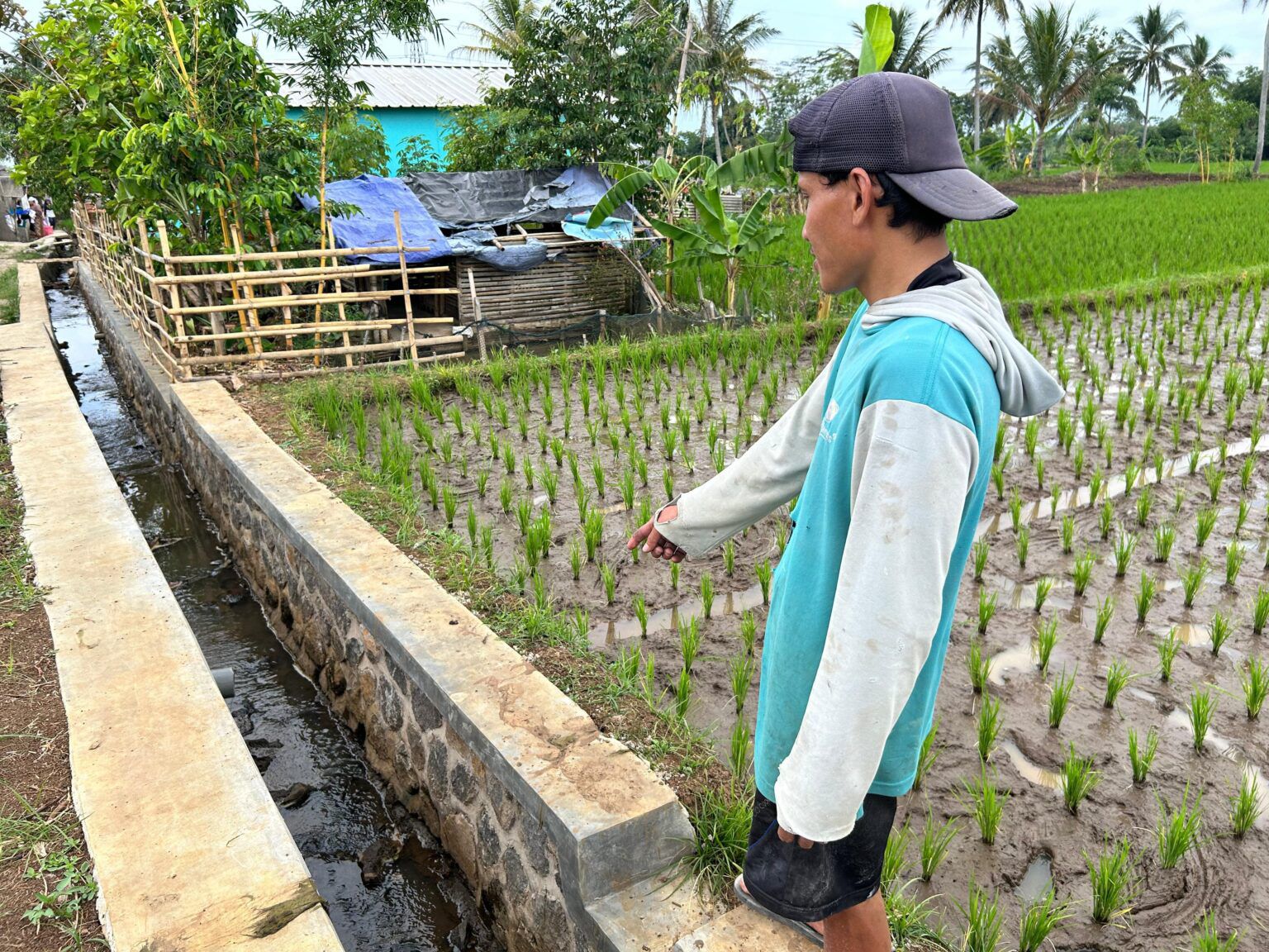 PLN Dukung Ketahanan Pangan dengan Program TJSL Pembangunan Irigasi di Cianjur