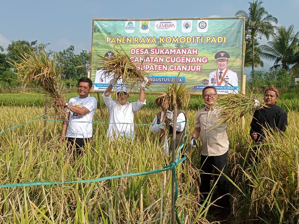 Bupati Cianjur Apresiasi Fokus Pemdes Sukamanah Cugenang Soal Ketahanan Pangan