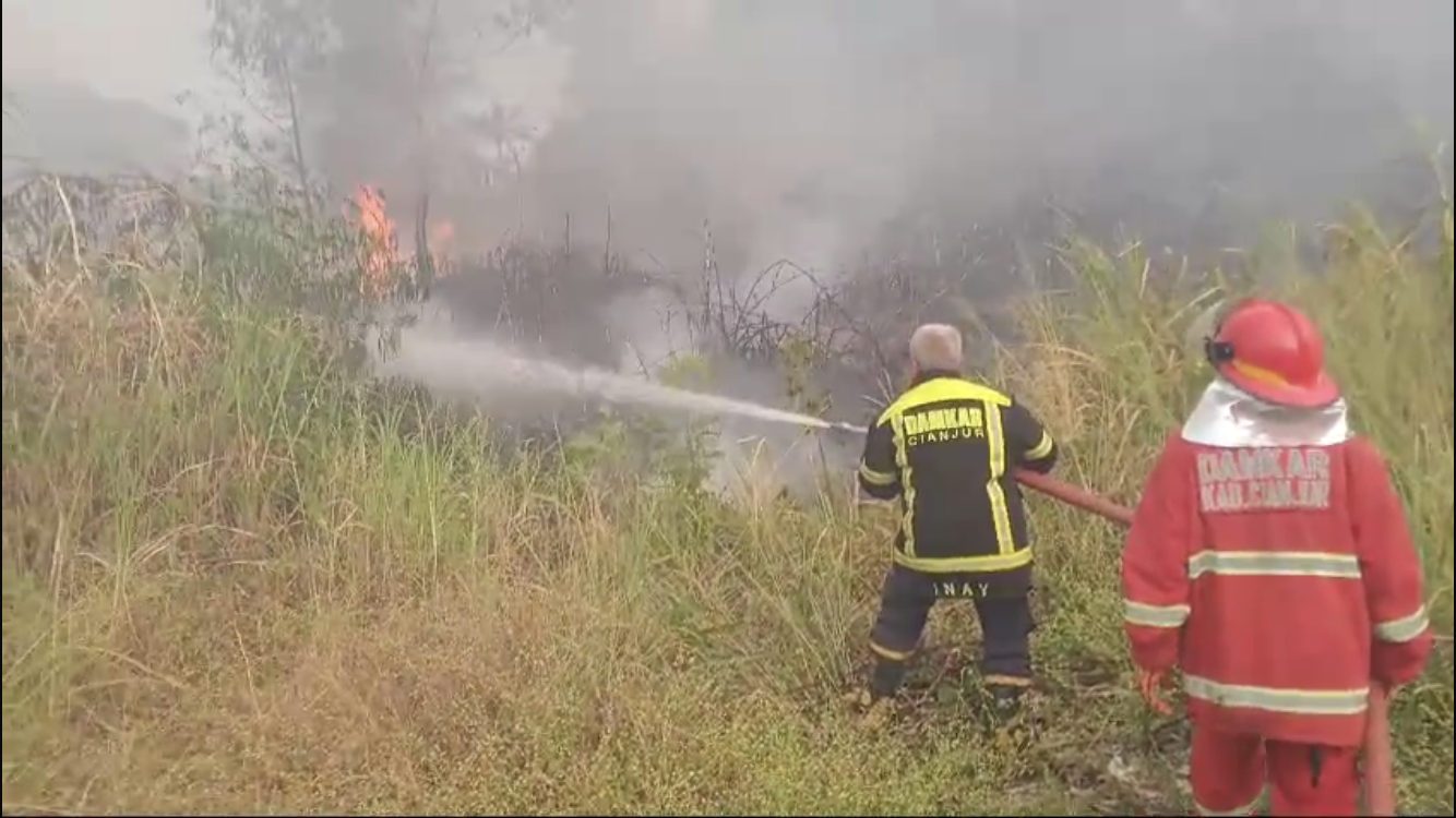 Hutan di Cipanas Kebakaran, 1 Hektar Pohon Pinus Hangus Terbakar