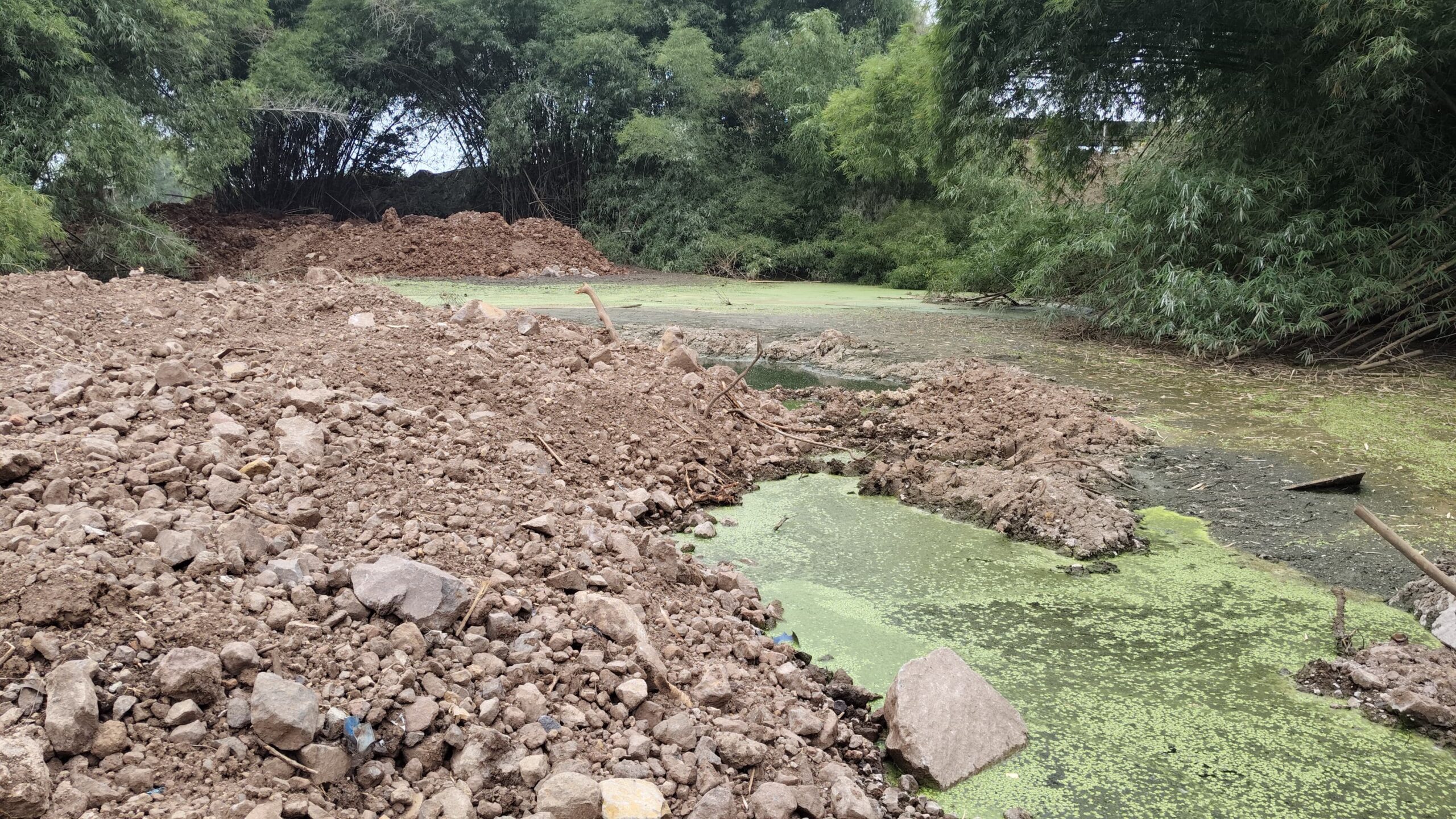 Tempat Penangkaran Buaya Cianjur yang Jebol Diurug, Evakuasi Aman dan Lahan Mulai Diratakan