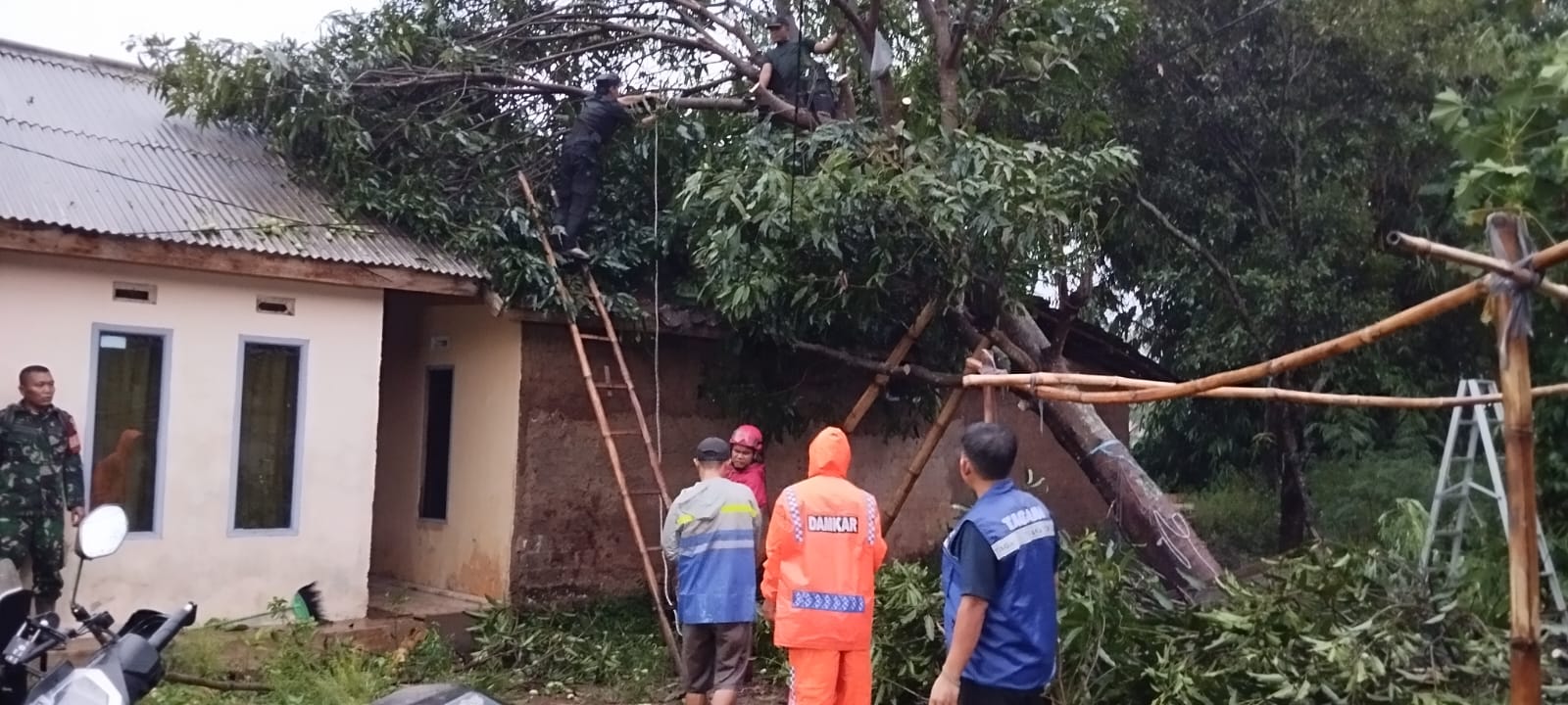 Dua Rumah di Cianjur Tertimpa Pohon Tumbang Akibat Hujan Disertai Angin Kencang