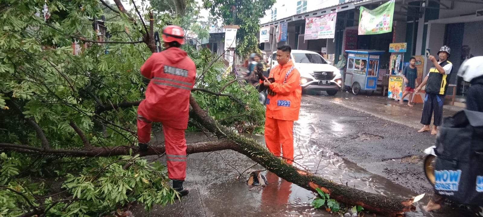 Hujan Deras dan Angin Kencang Buat Pohon di Cianjur Tumbang Sampai Tutup Jalan