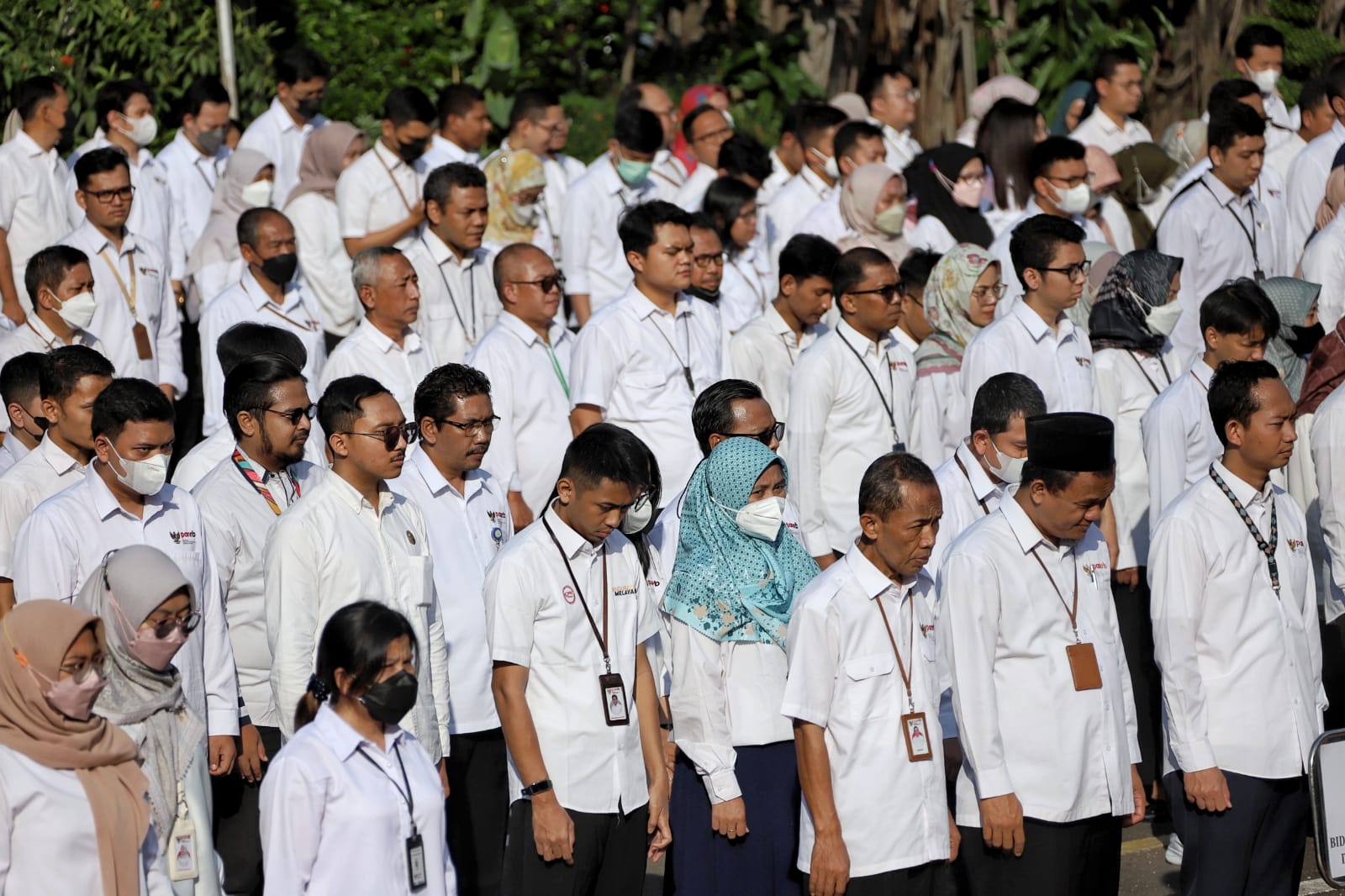 Jadwal Seleksi PPPK 2024 Sudah Keluar, Ini Panduan Lengkap Cetak Kartu Ujian dan Tahapan Penting