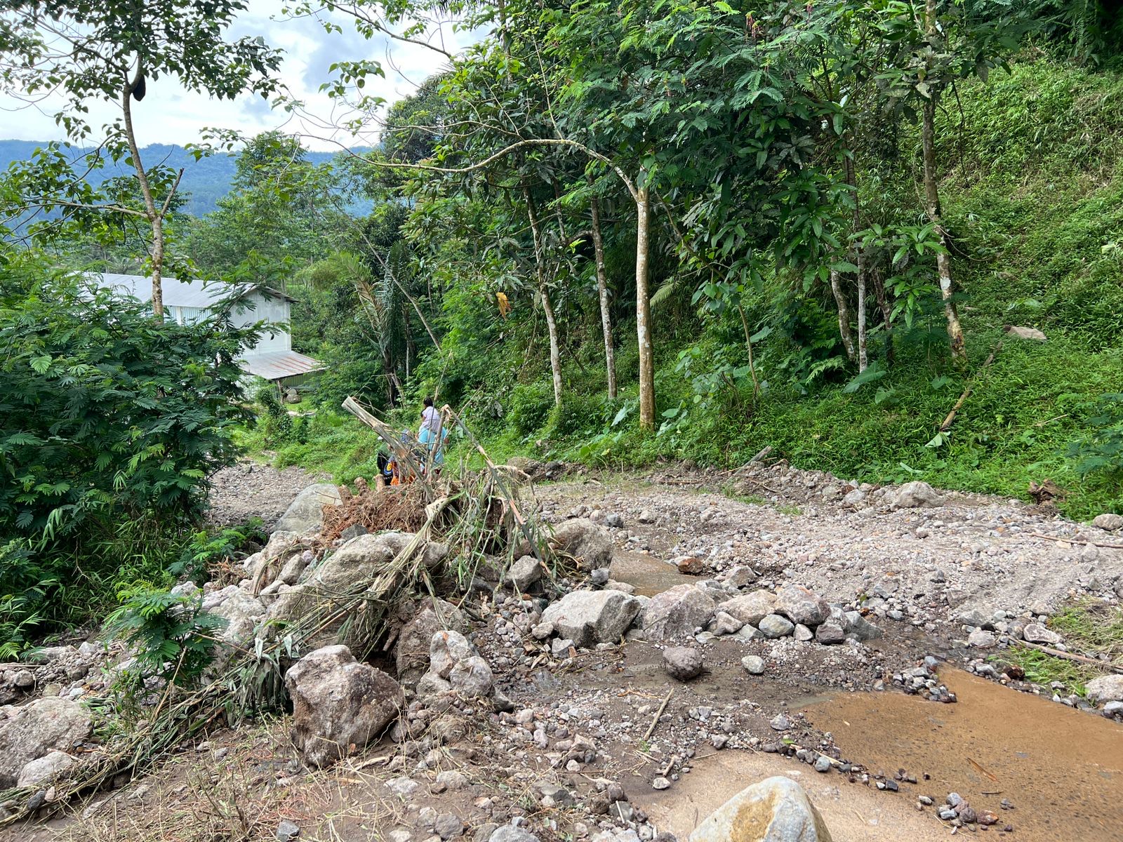 Longsor dan pergerakan tanah melumpuhkan akses ke Curug Ngebul dan Citambur di Cianjur. Warga terisolir, jalan rusak parah.