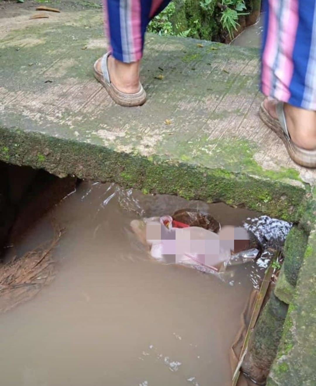 Polisi Karangtengah menyelidiki penemuan jasad bayi laki-laki di selokan Kampung Tajurhalang, Cianjur. Kasus ini memicu keprihatinan warga.