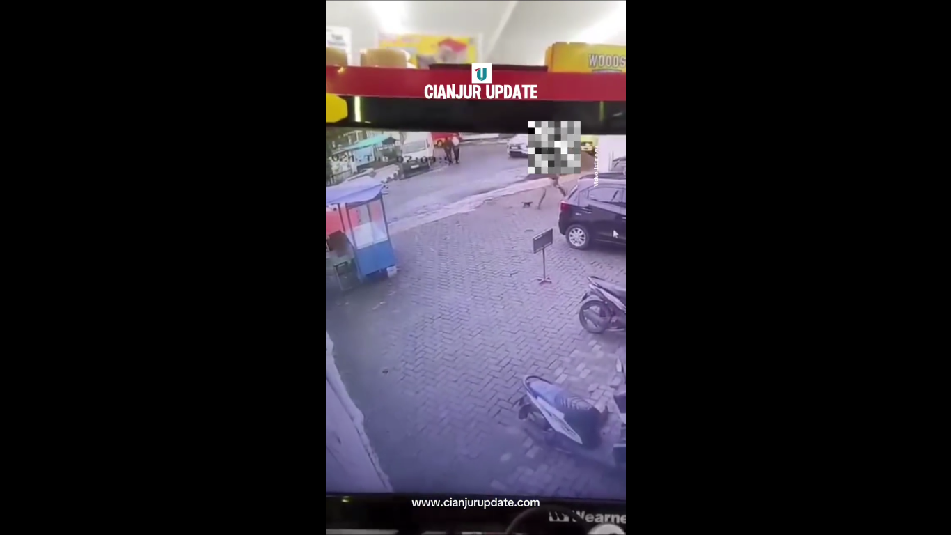 Viral! Video Pria Tendang Kucing di Depan Minimarket Cianjur, Bikin Netizen Geram