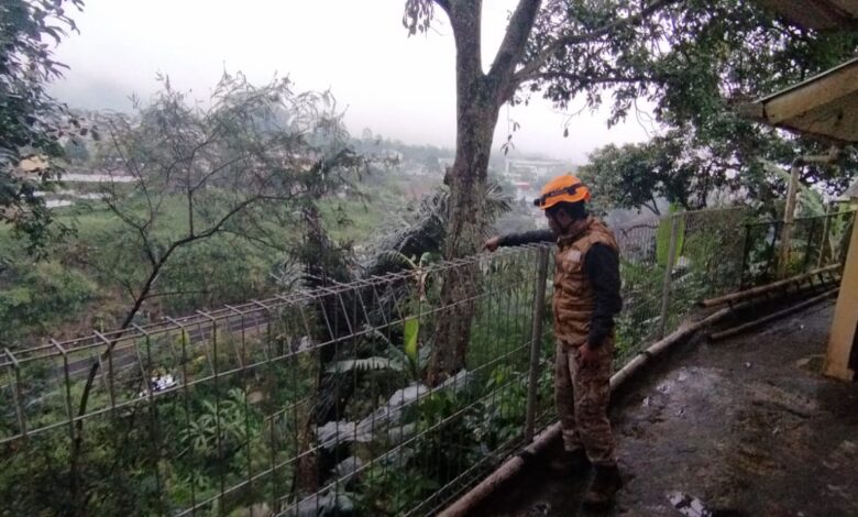 Satu Rumah Direlokasi Pasca Pohon Besar Tumbang di Tebing Lembah Koi Cipanas