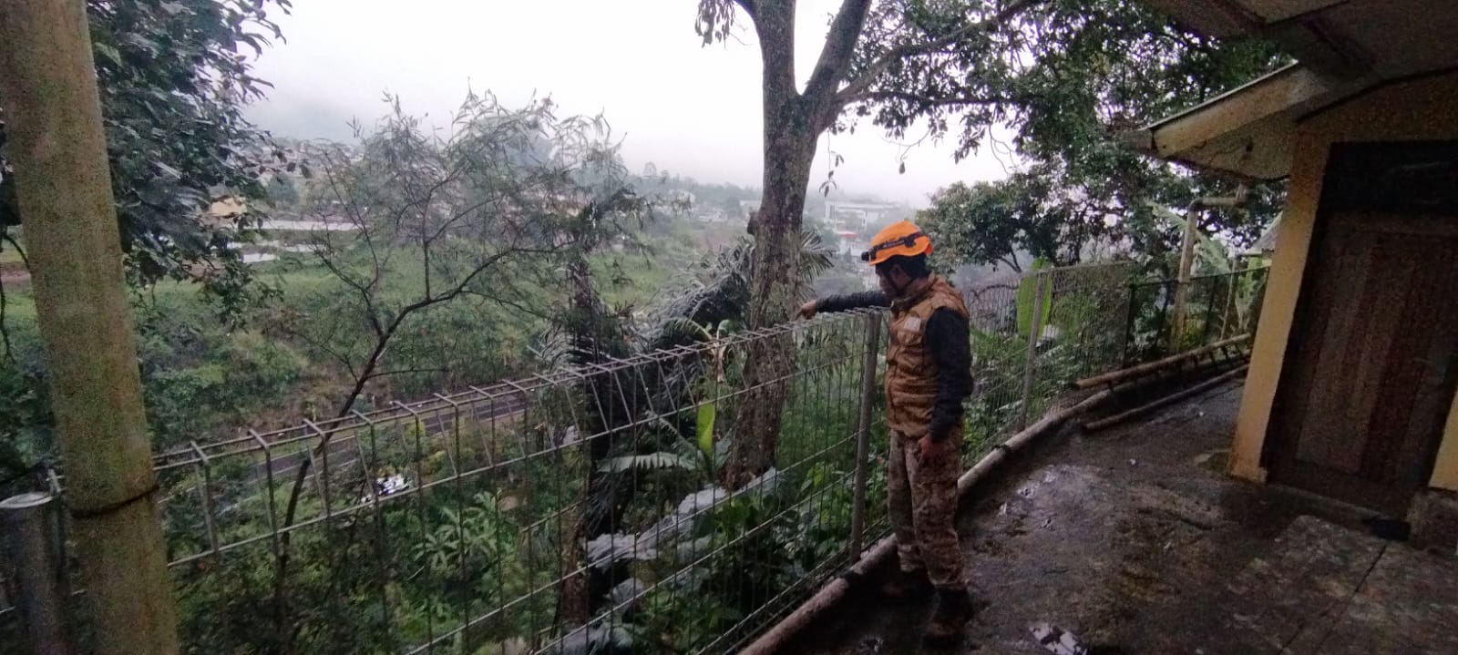 Satu Rumah Direlokasi Pasca Pohon Besar Tumbang di Tebing Lembah Koi Cipanas