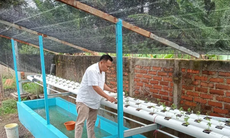 PKBM Nurul Fata Cianjur Kembangkan Akuaponik di Sekolah