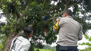 Seorang pria asal Bandung ditemukan tewas gantung diri di pohon mangga dekat sungai di Sukaluyu, Cianjur. Polisi masih menyelidiki motif kejadian. (Foto: Istimewa)