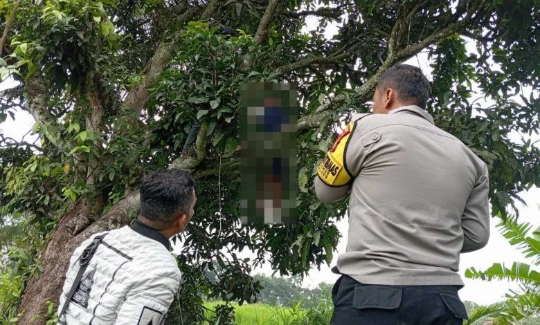 Seorang pria asal Bandung ditemukan tewas gantung diri di pohon mangga dekat sungai di Sukaluyu, Cianjur. Polisi masih menyelidiki motif kejadian. (Foto: Istimewa)