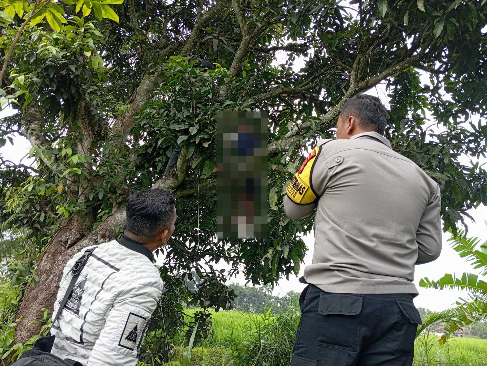 Seorang pria asal Bandung ditemukan tewas gantung diri di pohon mangga dekat sungai di Sukaluyu, Cianjur. Polisi masih menyelidiki motif kejadian. (Foto: Istimewa)