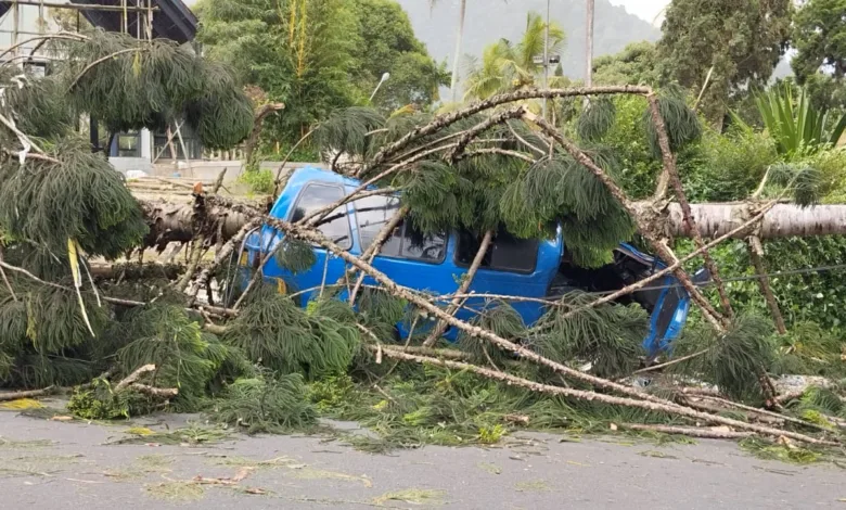 Sebuah mobil angkutan umum atau angkot tertimpa pohon tumbang di Jalan Ciberem-Cugenang, Kecamatan Cugenang, Kabupaten Cianjur.