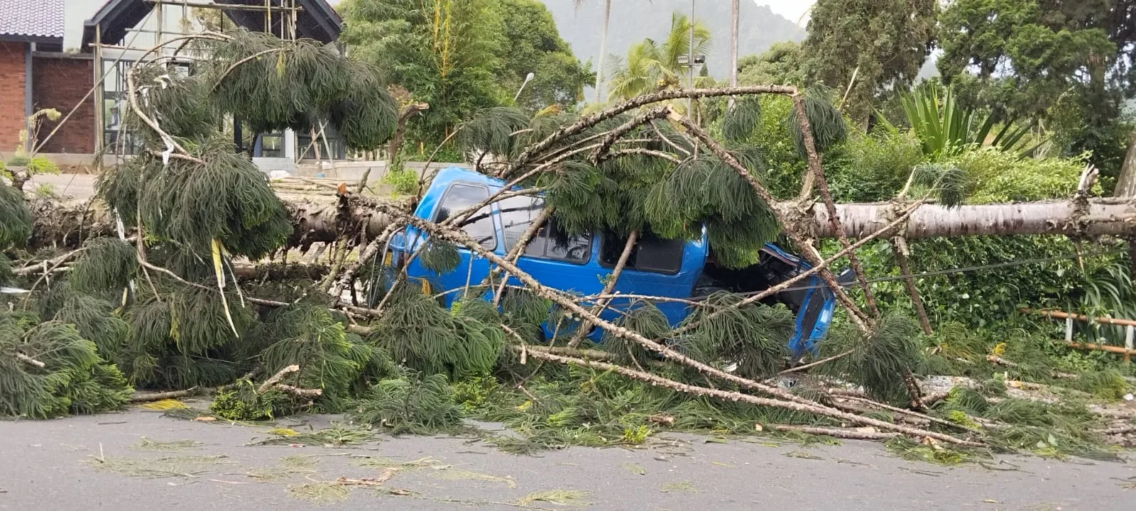 Sebuah mobil angkutan umum atau angkot tertimpa pohon tumbang di Jalan Ciberem-Cugenang, Kecamatan Cugenang, Kabupaten Cianjur.