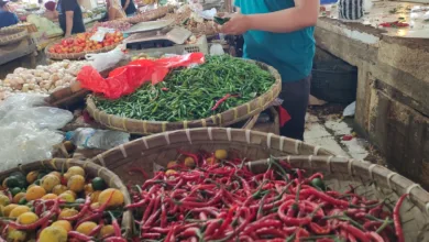 Pedagang Ungkap Alasan Harga Cabai di Cianjur Terus Naik